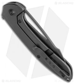 WE Knife Co. Fornix Frame Lock Knife Black Titanium (3.5" Black) 2016B -We Knife Co. WE Knife Co Fornix FL Black Ti Black 2016B BHQ 120508 jr side