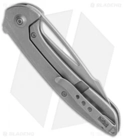 WE Knife Co. Fornix Frame Lock Knife Gray Titanium (3.5" Stonewash) 2016A 6 WE Knife Co. Fornix Frame Lock Knife Gray Titanium (3.5" Stonewash) 2016A -We Knife Co. WE Knife Co Fornix FL Gray Ti SW 2016A BHQ 120507 jr side