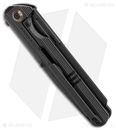 WE Knife Co. Reiver Frame Lock Knife Black Titanium (3.97" BSW) WE16020-2 3 WE Knife Co. Reiver Frame Lock Knife Black Titanium (3.97" BSW) WE16020-2 - Image 3