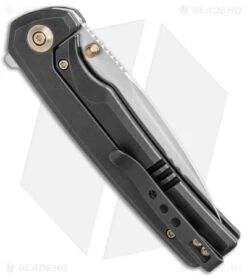 WE Knife Co. Subjugator Frame Lock Knife Black Titanium (3.5" Satin) -We Knife Co. WE Knife Co Subjugator FL Black Ti Satin BHQ 139444 jr side