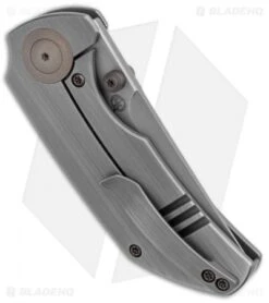 WE Knife Co. Thug Frame Lock Knife Gray Titanium (2.6" Stonewash) -We Knife Co. WE Knife Co Thug FL Gray Ti SW 2103B BHQ 120905 jr side