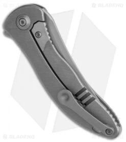 WE Knife Co. Mini Synergy Trailing Point Knife Titanium (3" Stonewash) -We Knife Co. WE Knife Co. Mini Synergy Flipper Knife Titanium 3 SW Trailing 2011A BHQ 117957 LS Side