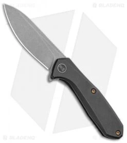 WE Knife Co. Mote Frame Lock Knife Black Titanium (2.6" BB/SW) 2005C